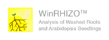 sistema de analisis de imagen WinRHIZO
